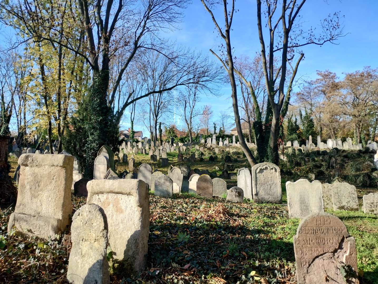 Procházka historií: Starý židovský hřbitov / odpoledne